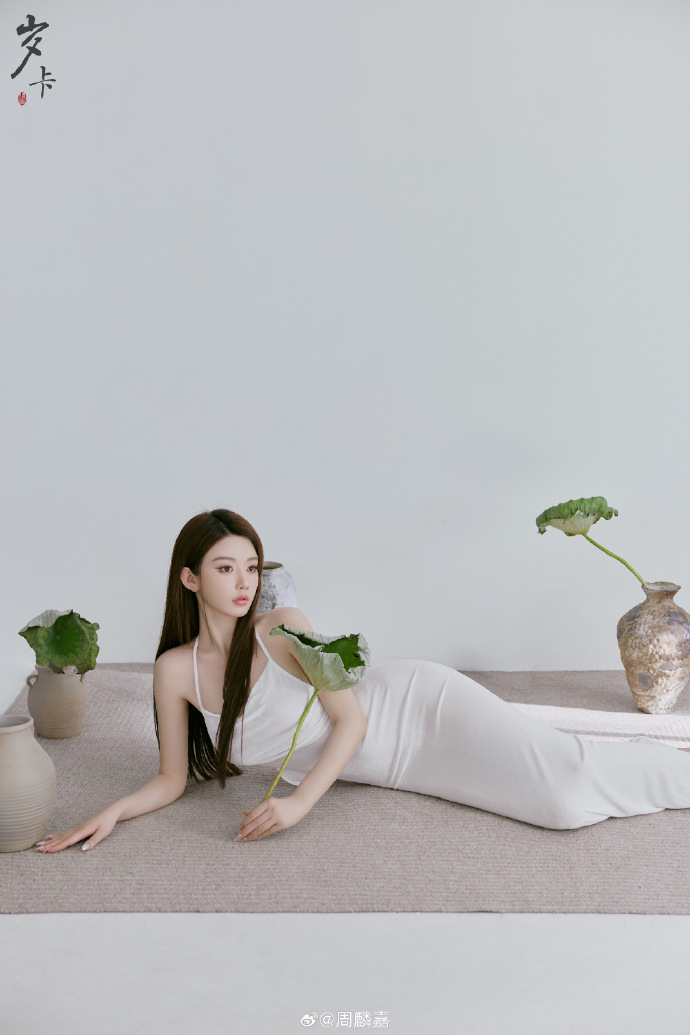 我的团长我的团 封面